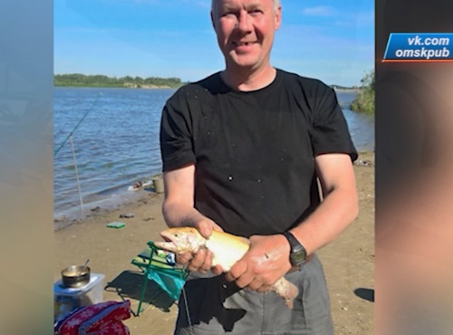 Омич поймал в Иртыше янтарную форель