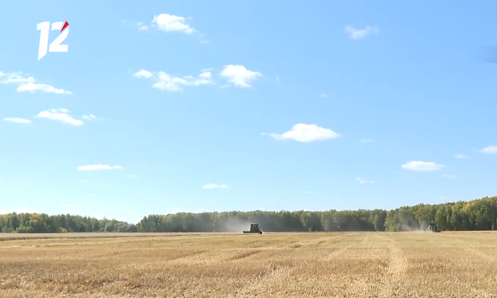 В Омской области упорядочивают правила аренды сельхозземель