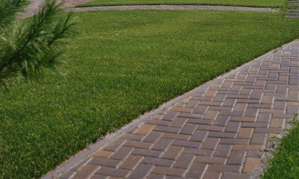 Омские агрономы ведут подготовку к весенне-летнему сезону