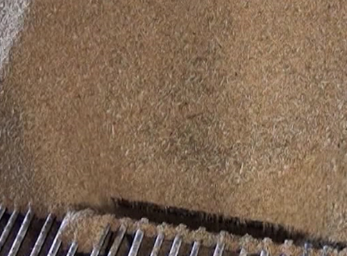 Омским хлеборобам помогут в поисках новых рынков сбыта