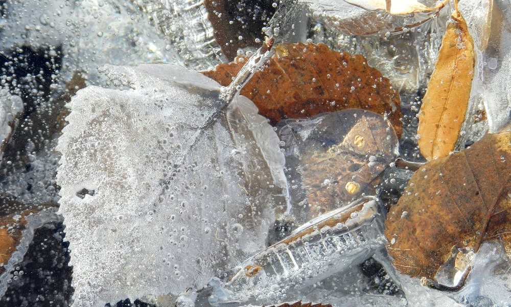 Бабье лето и первый снег: какая погода ждёт омичей в сентябре