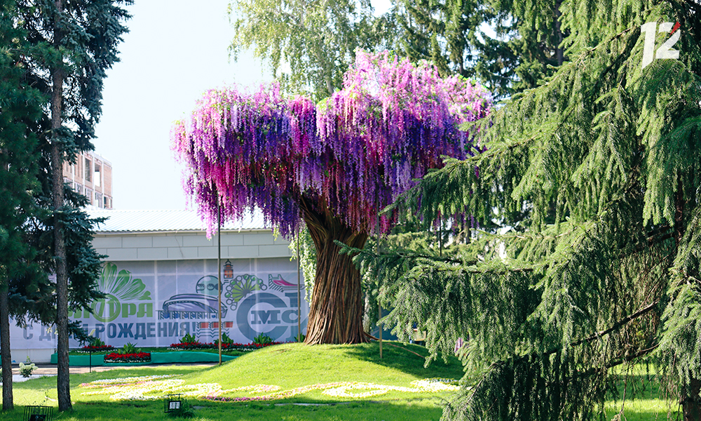 Охранникам омской выставки «Флора-2024» готовы заплатить более одного миллиона рублей