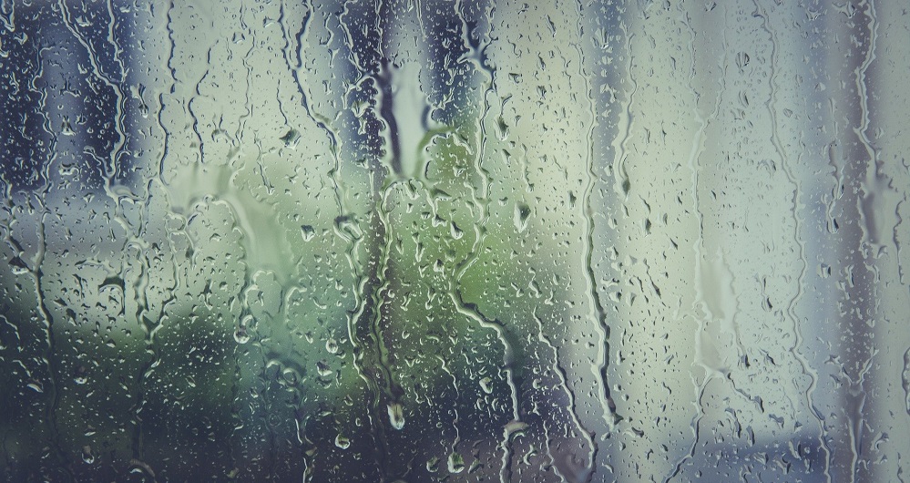 Всю рабочую неделю омичей ожидают дожди и сильный ветер 