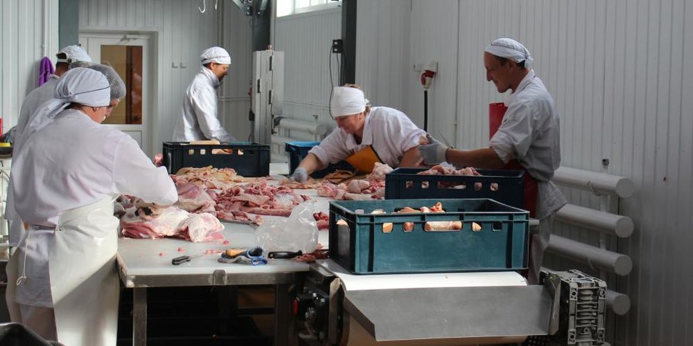 Омский Россельхознадзор взял на жесткий контроль производство в Калачинске