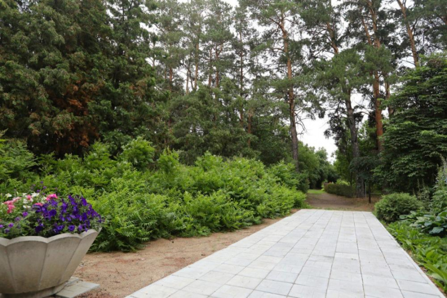 Дендропарк им. П.С. Комиссарова завершает экскурсионный сезон 