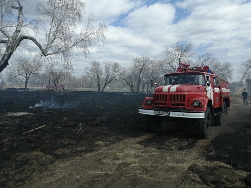 Пал травы чуть не уничтожил СТО и частные дома в Омске