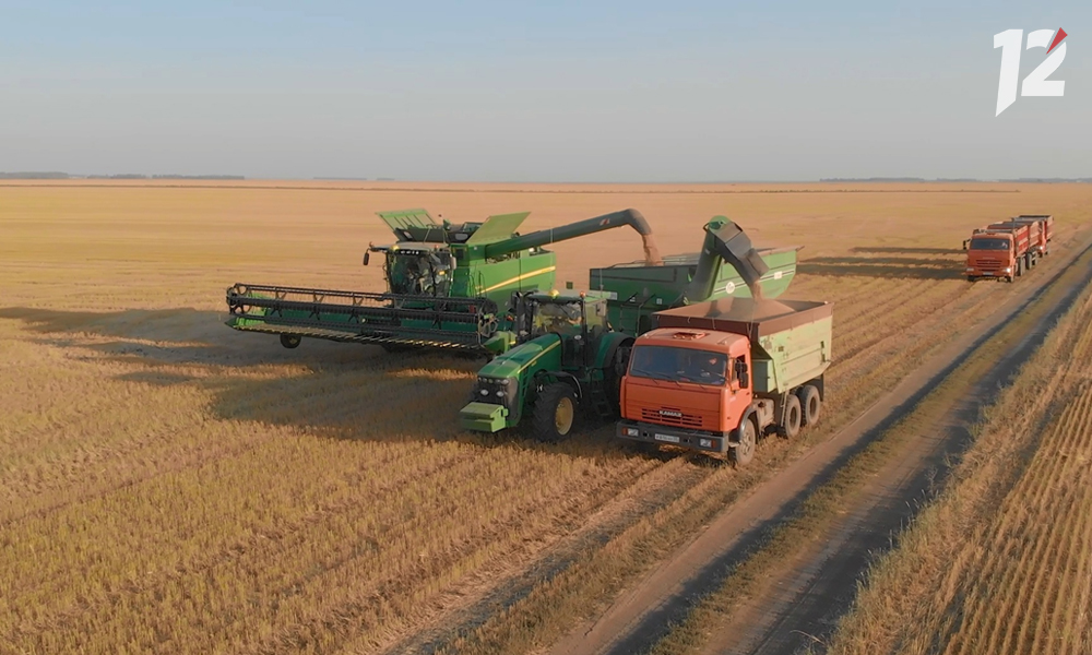 Омские предприятия АПК в 2023 году получили поддержку в размере 2,1 млрд рублей 