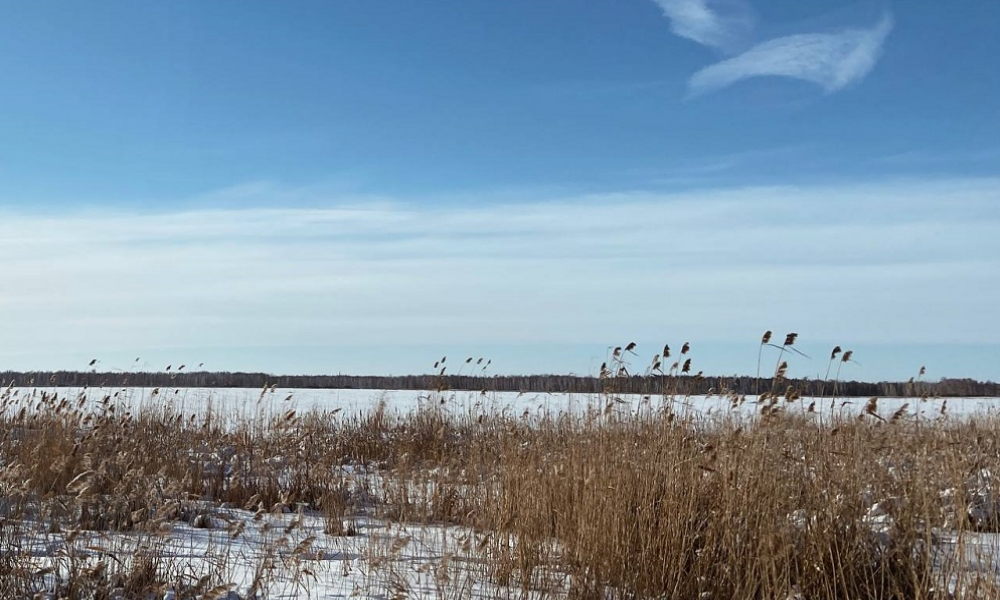 Есть в Омской области одно село…[ФОТОРЕПОРТАЖ]