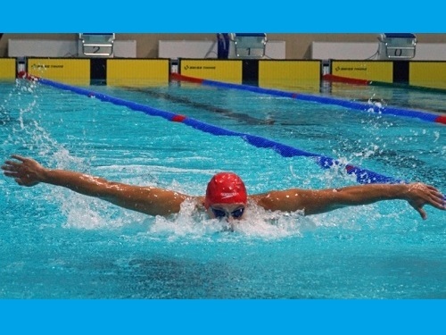 Омичи завоевали 14 золотых медалей на чемпионате и первенстве Сибири по плаванию