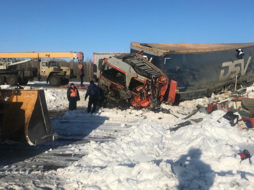 В Омской области в результате столкновения двух большегрузов погиб водитель [обновлено, фото]
