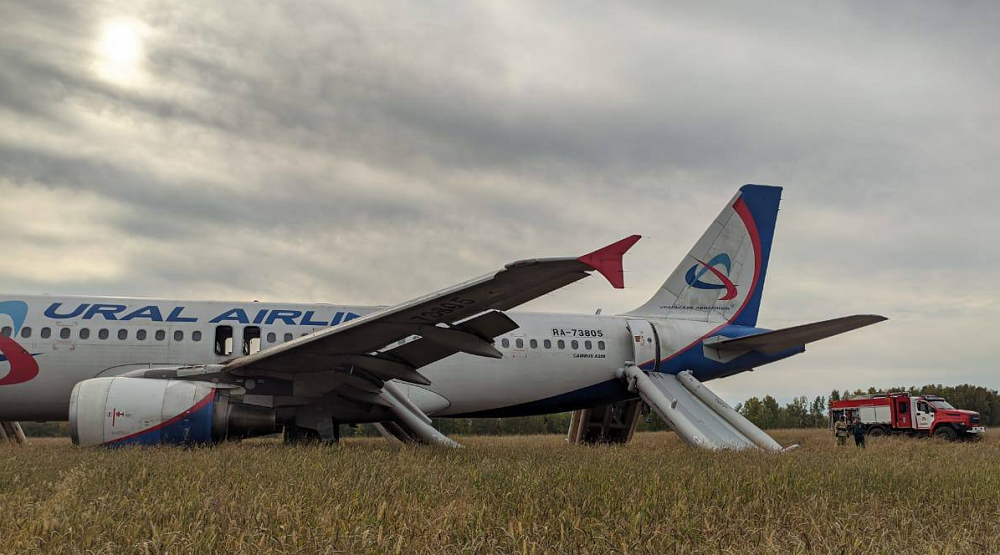 Убытки аграриев от экстренной посадки самолёта Сочи — Омск могут вырасти в шесть раз — до 1,2 млн рублей