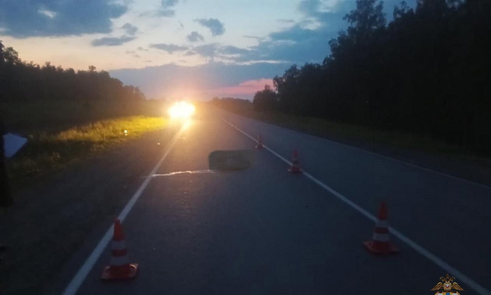 В Омской области сотрудники полиции установили личность водителя, который сбил насмерть пешехода и скрылся