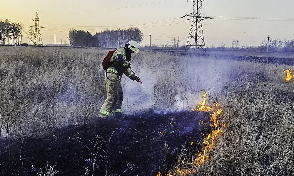 В Омской области горят трава и камыш