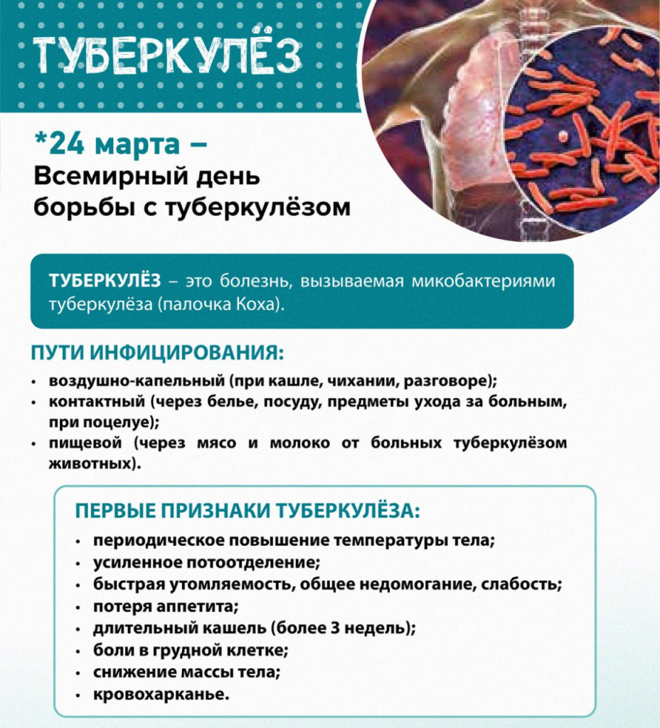 photo_2024-12-04_11-38-20.jpg photo_2024-12-04_11-38-20.jpg