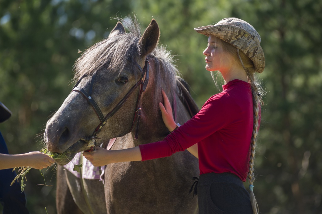 конь.jpg конь.jpg