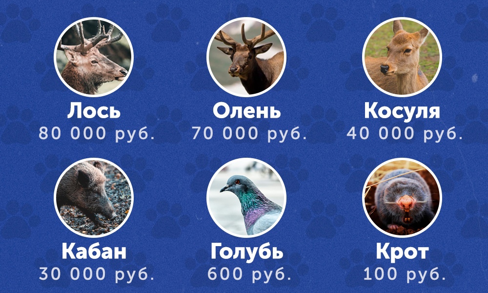 KxBV2hW5I5I.jpg KxBV2hW5I5I.jpg