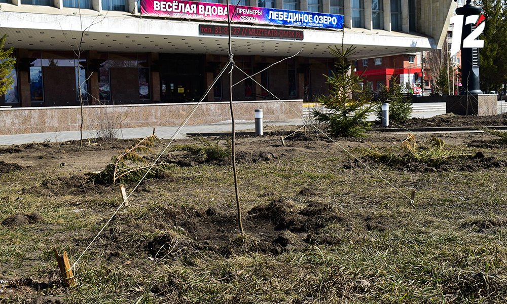 Театральная площадь_благоустройство_саженцы.png