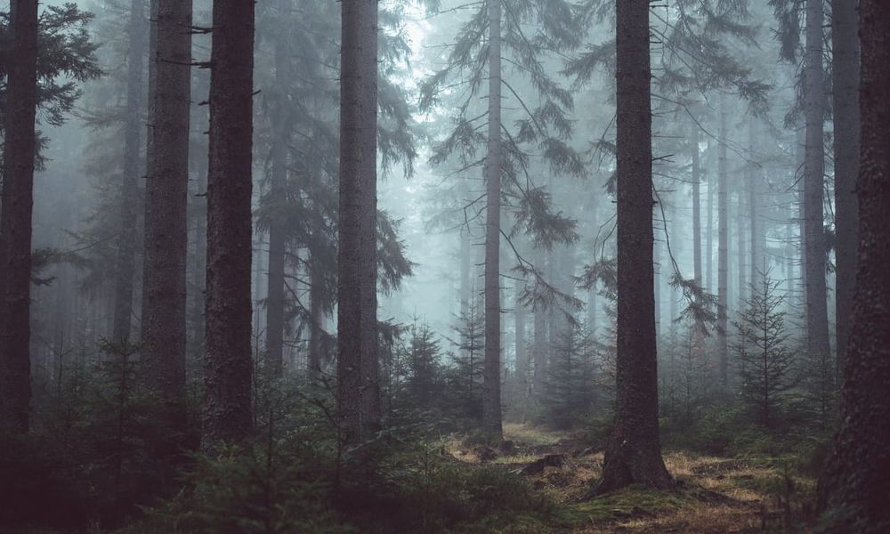 photo_2021-05-17_15-48-54.jpg photo_2021-05-17_15-48-54.jpg