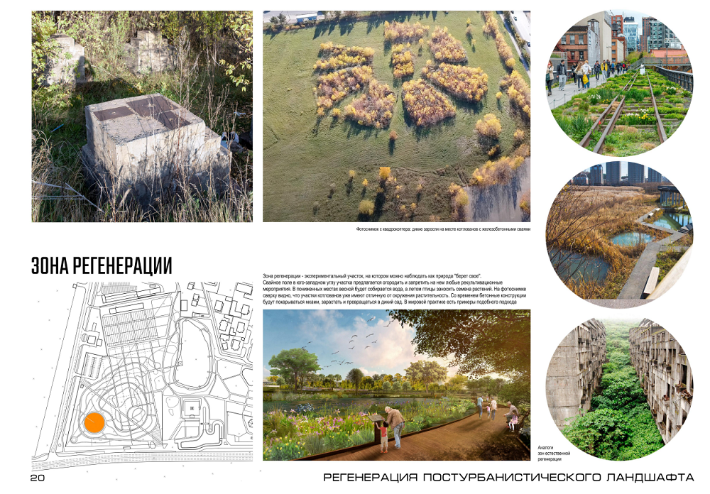 дендросад 3.png дендросад 3.png